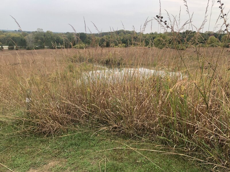 View of Bro. Don Geiger Prairie.