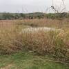 View of Bro. Don Geiger Prairie.