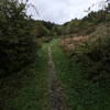 Entrance to the trail from State Road 612.