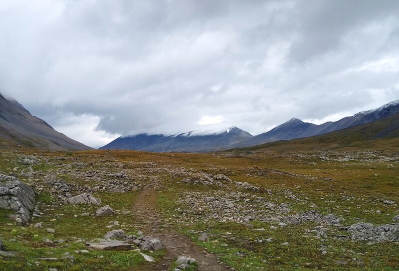 Tangle Ridge is seen in the distance at Wilcox Pass, looking northwest.