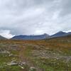 Tangle Ridge is seen in the distance at Wilcox Pass, looking northwest.