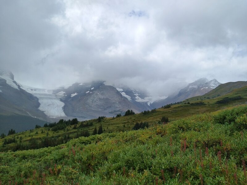 Left to right - Athabasca Glacier, Snow Dome (hidden in clouds), Dome Glacier, Mt. Kitchener, and Mt. K2, looking southwest past meadows of Mount Wilcox. Snow Dome, the North American triple divide, sends water to the Arctic, Pacific, and Atlantic Oceans.