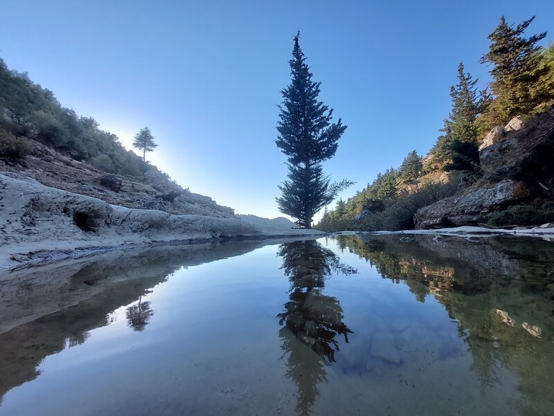 Below Horsh Ehden.