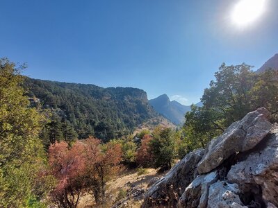 Tannourine forest proper and Ribazzi in the background.