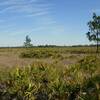 It gets hot out here in the scrub in the afternoons. Bring plenty of water.