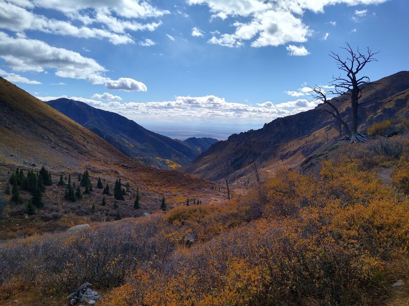 Fall in the Sangre De Cristo Range. From North Crestone Trail towards the San Luis Valley