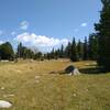 Look for the faint Valley Lake Trail in the grass, when turning off the CDT to hike this unsigned trail.