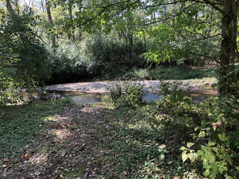 View of Little Beaver Creek from Creekside Reserve Loop.