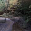 Gorge Trail (Grandma Gatewood Section of the Buckeye Trail). Old Man's Cave State Park.