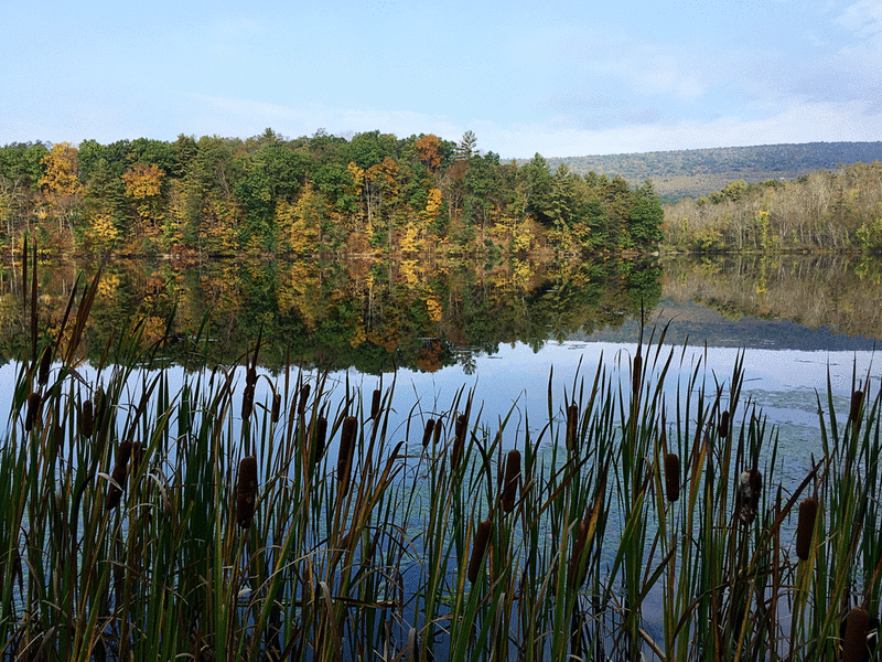 A fall reflection on Lake Perez.