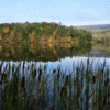 A fall reflection on Lake Perez.