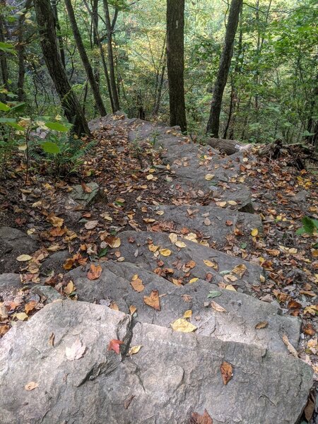 Top of the steep stairs down to Laurel Falls.