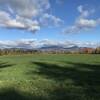 The mountains beyond the field.