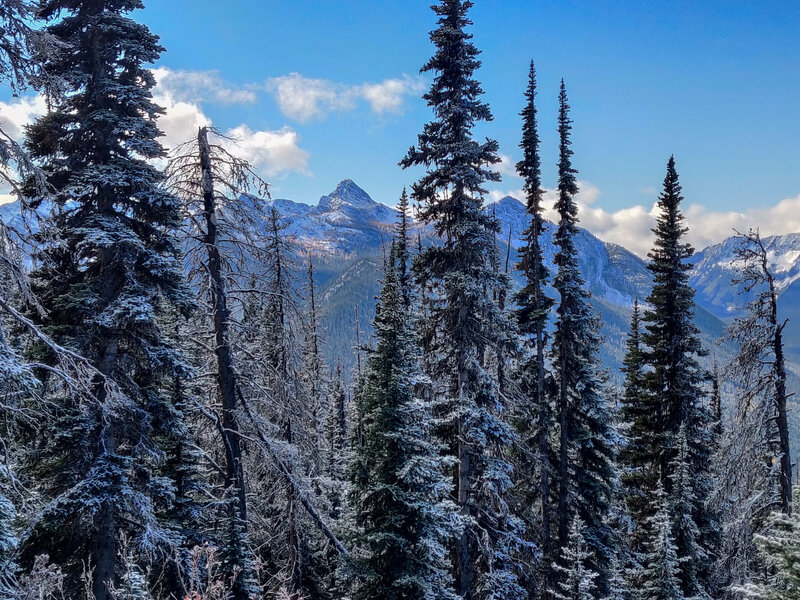 View of the interior of Manning Park from Windy Joe lookout.