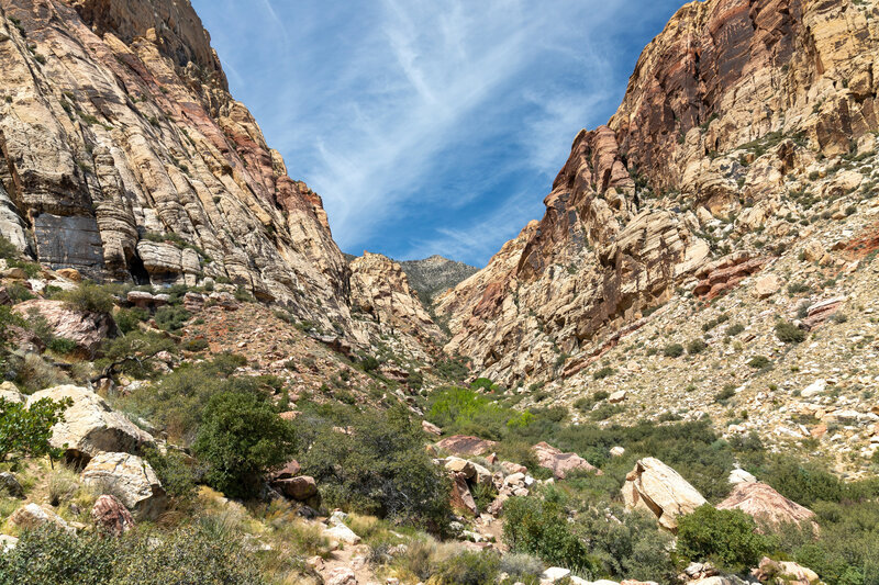 Looking up First Creek Canyon