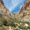 Looking up First Creek Canyon