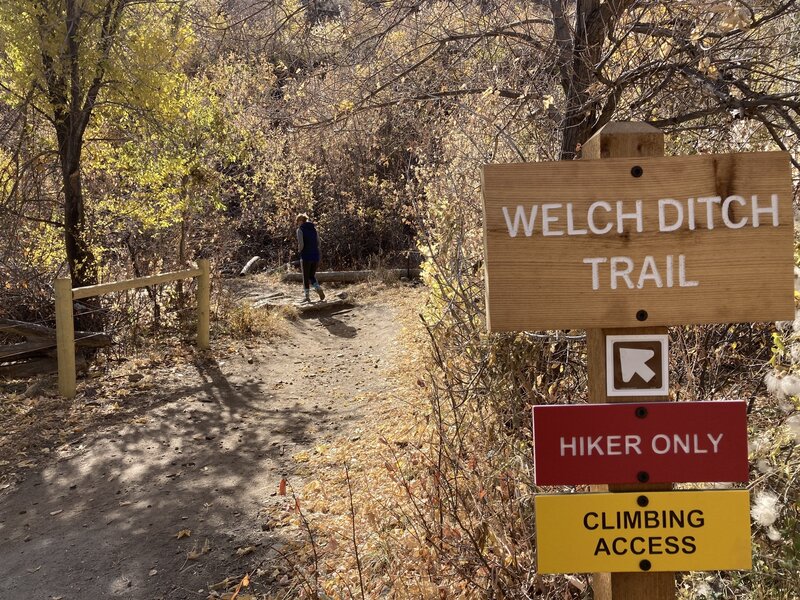 Start of the Welch Dirch trail