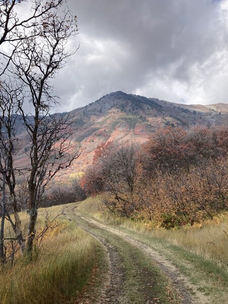 Mitton Peak in fall foliage