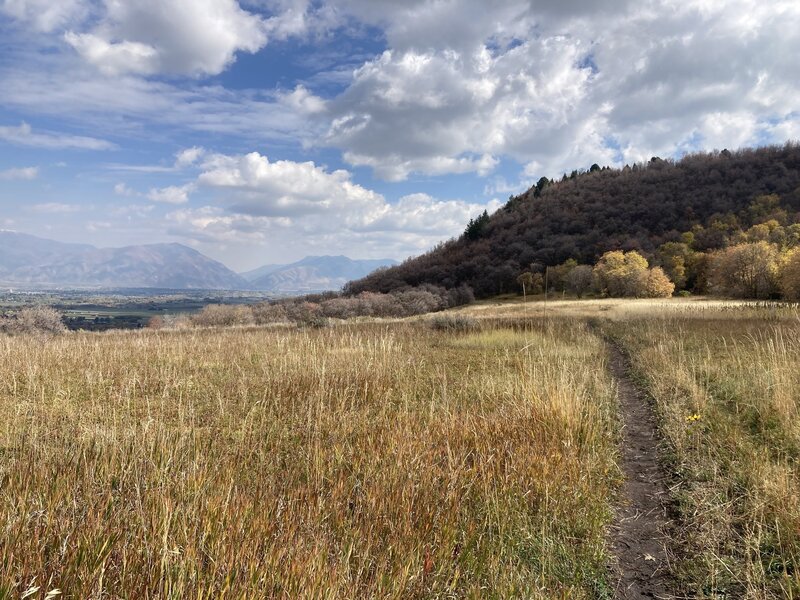 Meadow of Wide Canyon