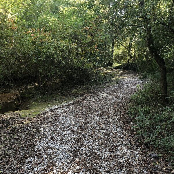 Trail near the creek at Hendrickson Park