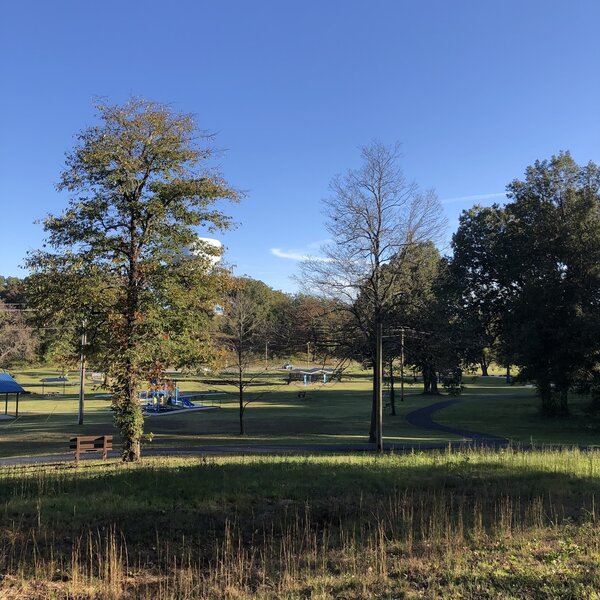 Bacon Park below spur trail