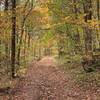 Trail along the creek in the fall.