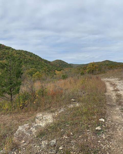 View from an open glade along the trail.