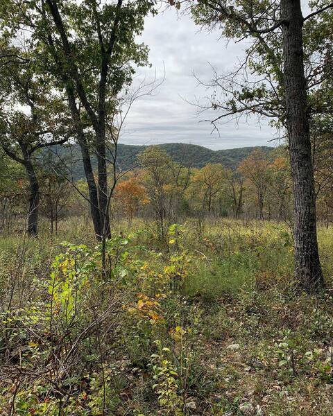 View along the trail.