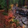 South Boulder Creek