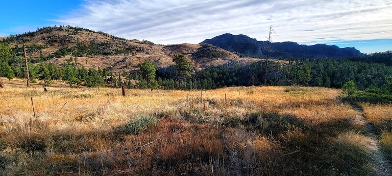 Scenic view just off the Walker Ranch Loop trail.