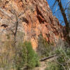 La Verkin Canyon narrows spectacularly about a mile past the Hop Valley junction