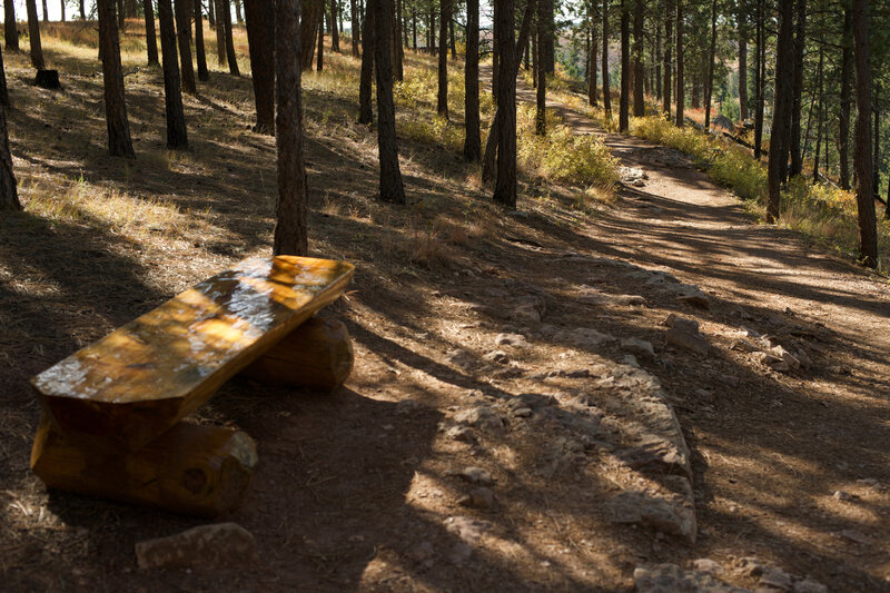 Benches can be found along the trail that allow you to enjoy the views and take in the peace of the forest.