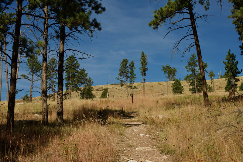 The trail breaks off from the Roof trail and climbs gently up the hillside.