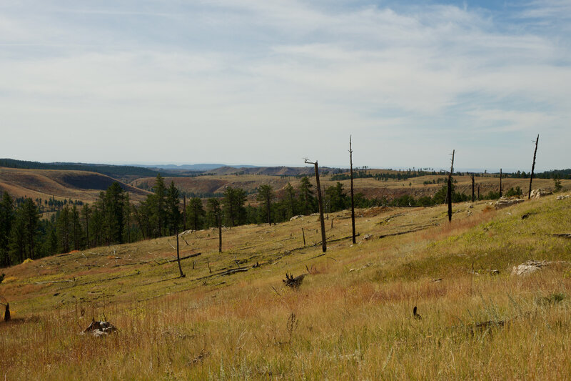 Views of the surrounding hills and mountains spread out before you. The views in this part of the trail are the most sweeping in the monument.