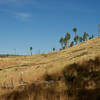 You can get a sense of how the landscape is recovering from the Jasper Fire of 2000. Here, you can s