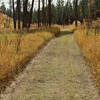 The trail turns to grass as it moves through the canyon.