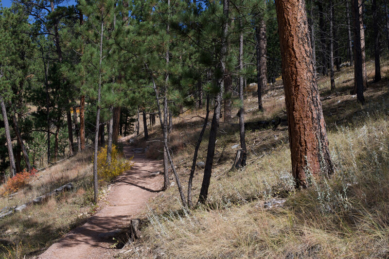 The trail narrows and climbs up the hillside toward the Roof Trail and the visitor center.