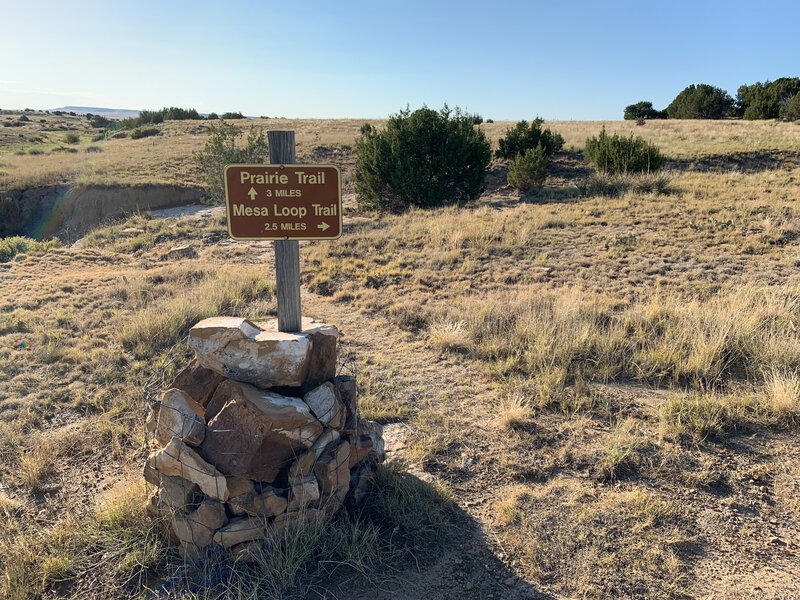 Well signed junction to Mesa Trail