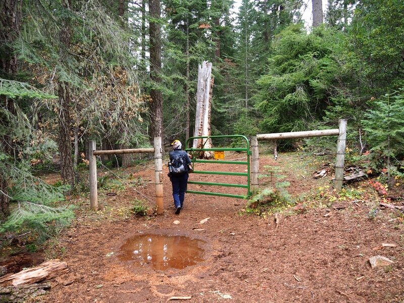 The trail starts behind a cattle gate behind the rental cabin.