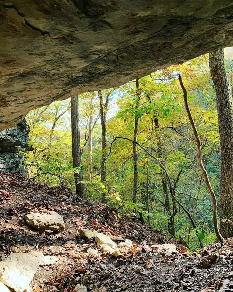 View from inside a cave.