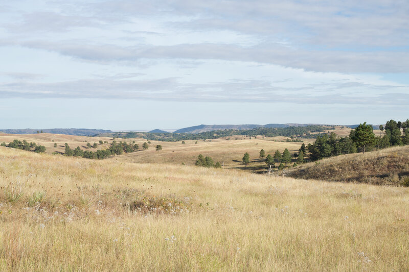 A view across Wind Cave NP from the Elk Mountain Trail.