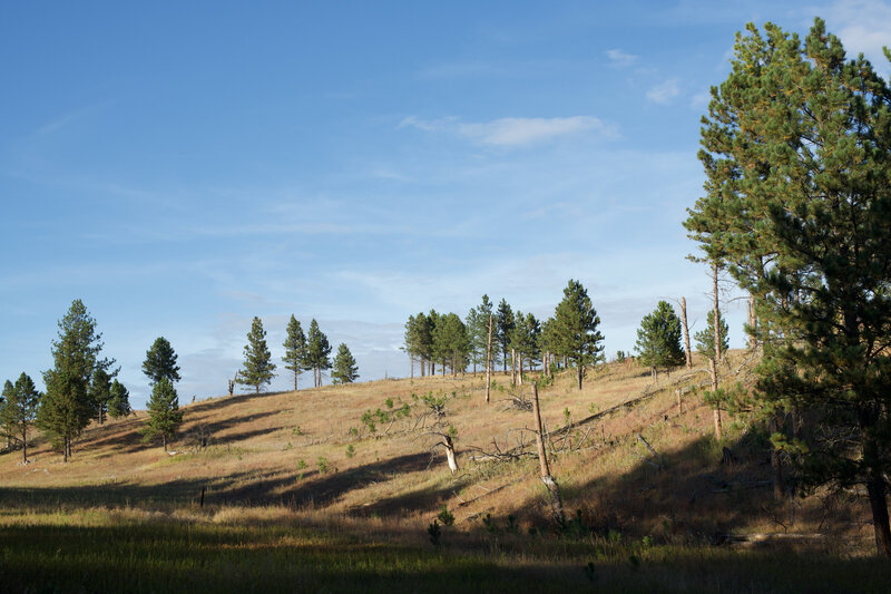 The Elk Mountain Trail climbs the hillside and provides great views of the park.