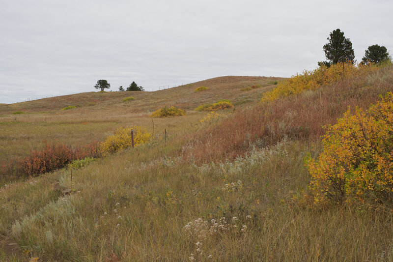 The trail climbs the hill to better views of the park.