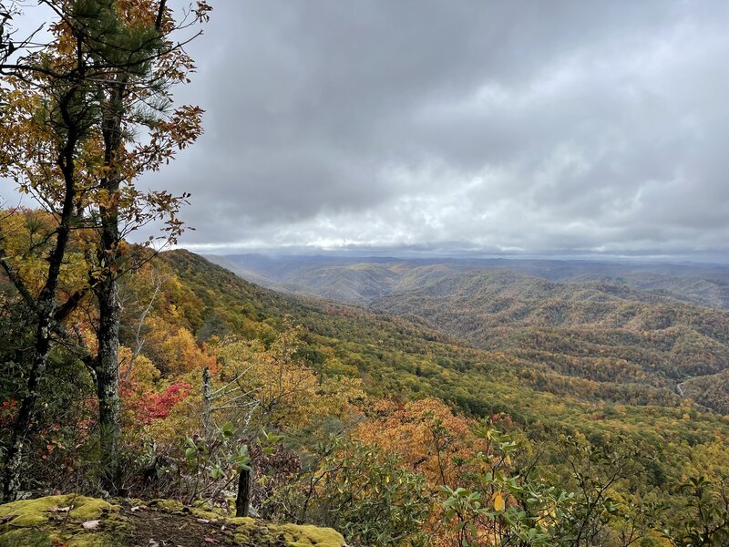 Buzz Worm Overlook along the Little Shepherd section of the Pine Mountain Trail