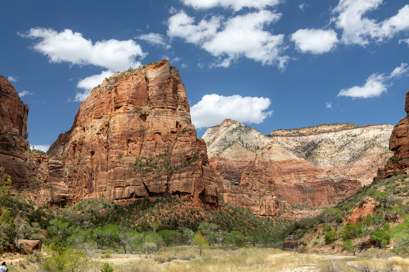 Angels Landing from the bottom of Zion Canyon.