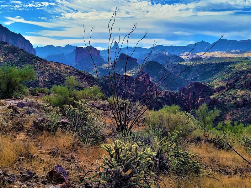 Looking South towards Weavers Needle