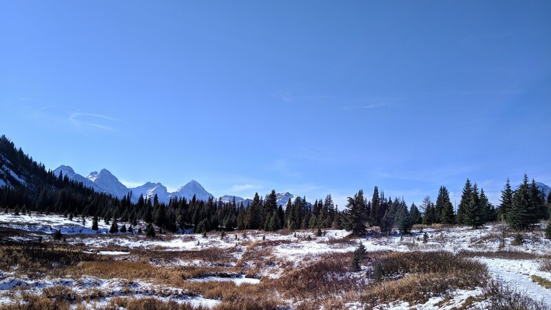 Looking south from the approach to Chester Lake in the alpine meadow