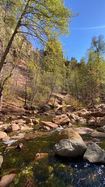 Babbling creek and beautiful fall colors in November.