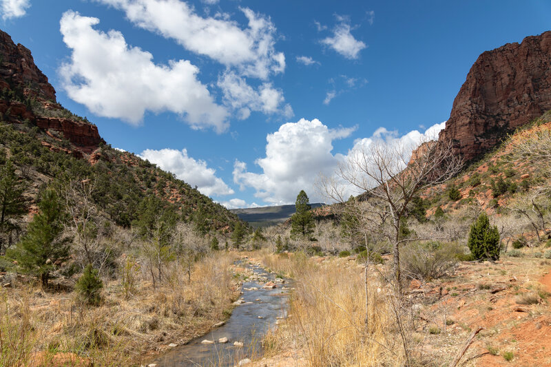 La Verkin Creek.