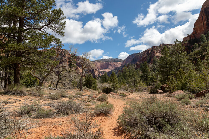 La Verkin Creek Trail can be quite sandy at times.